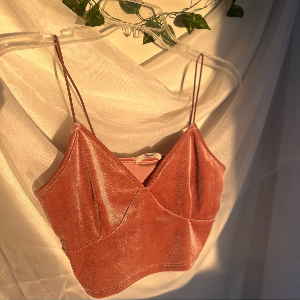 Velvet pink crop top